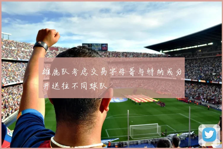 雄鹿队考虑交易字母哥与特纳或分开送往不同球队