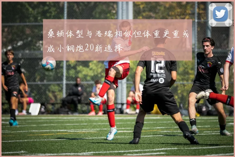 桑顿体型与洛瑞相似但体重更重或成小钢炮20新选择