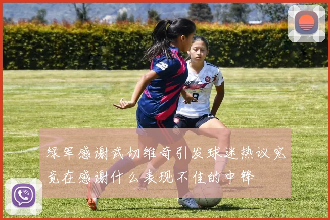 绿军感谢武切维奇引发球迷热议究竟在感谢什么表现不佳的中锋