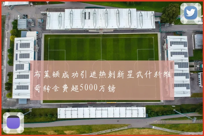 布莱顿成功引进热刺新星武什科维奇转会费超5000万镑